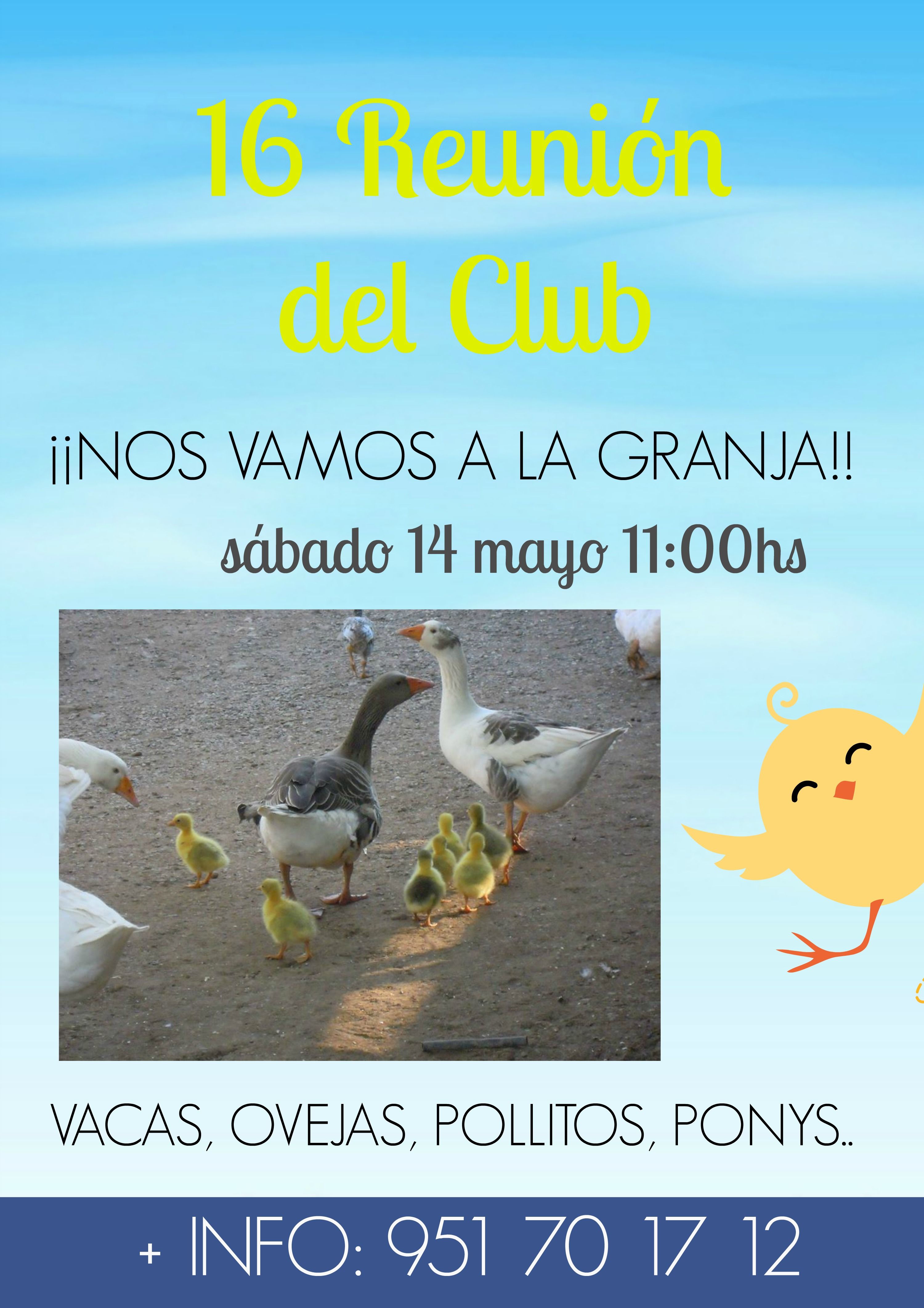 16 REU CLUB