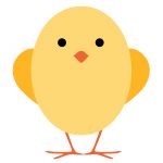 pollito