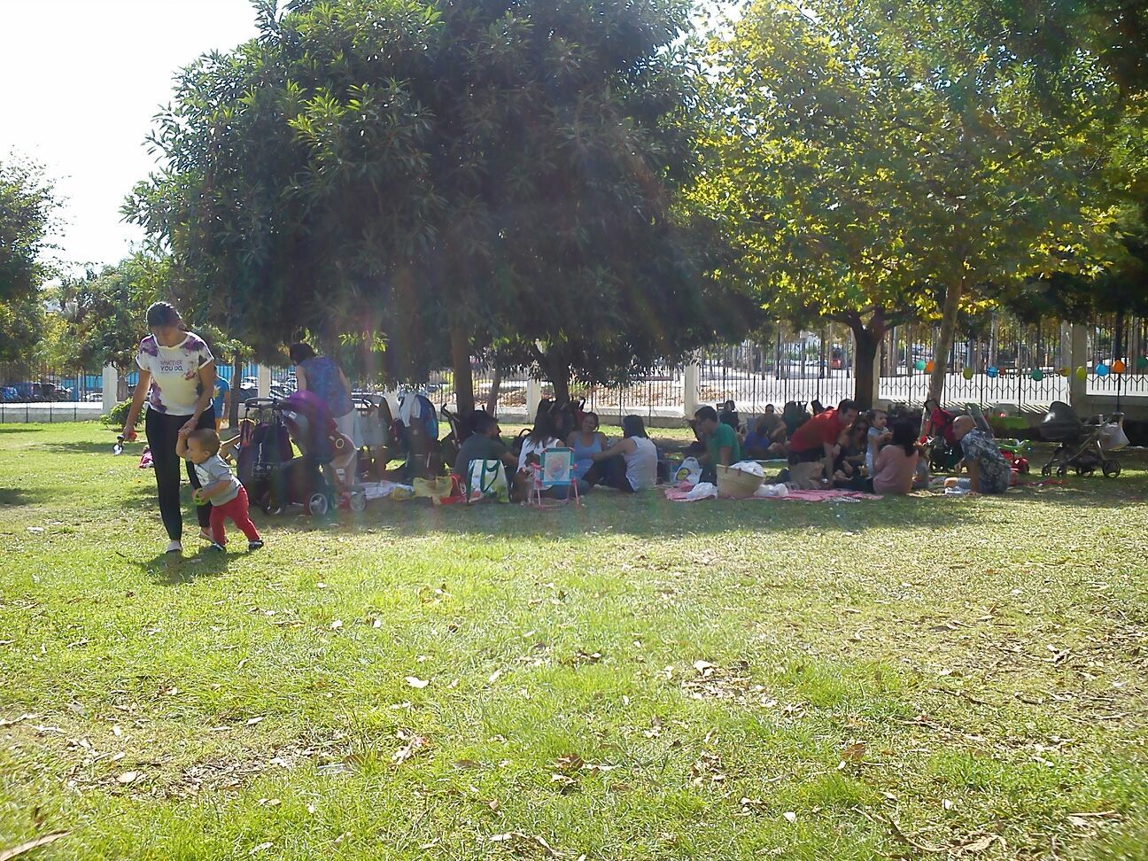 PICNIC2