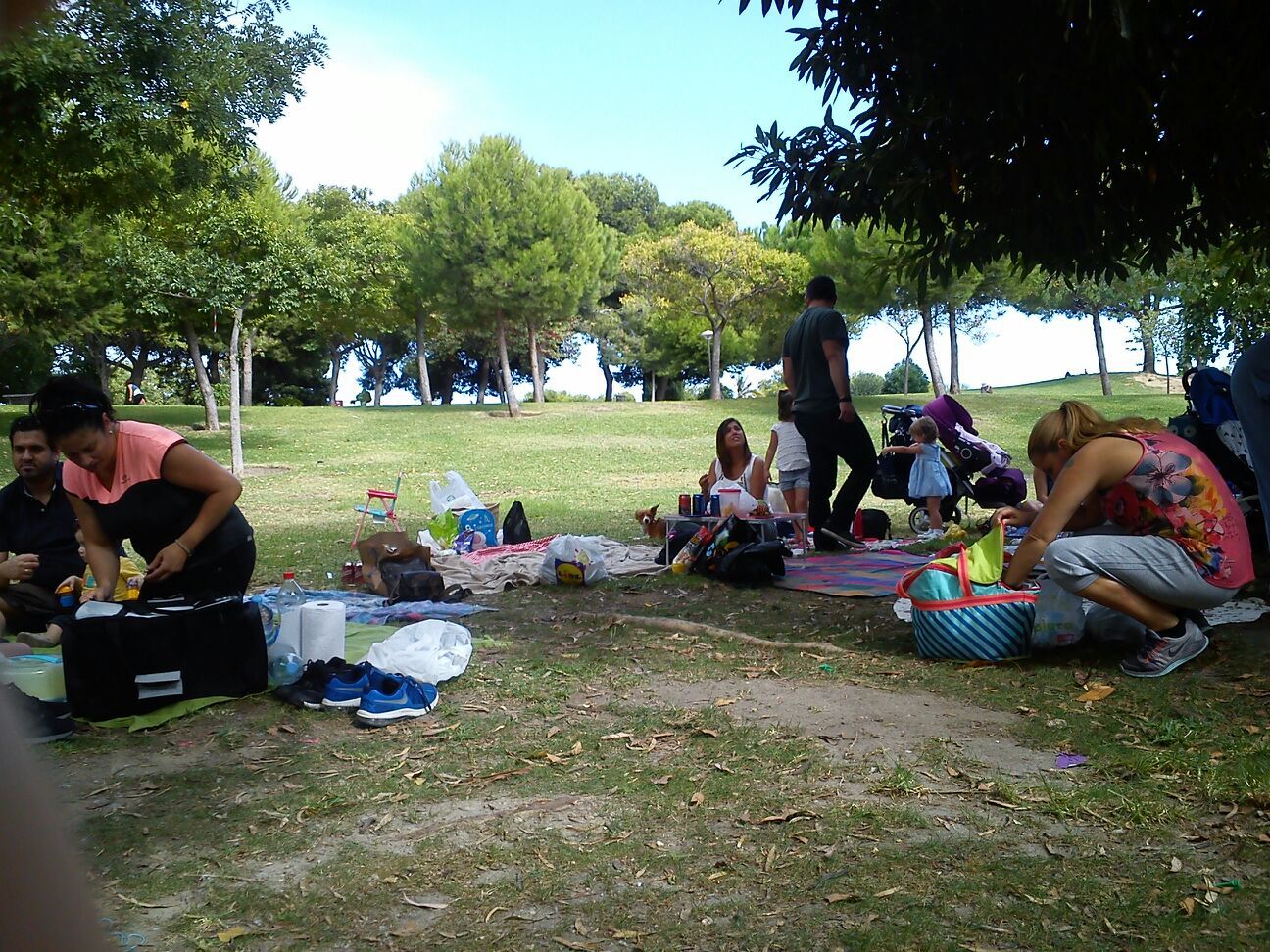 PICNIC3