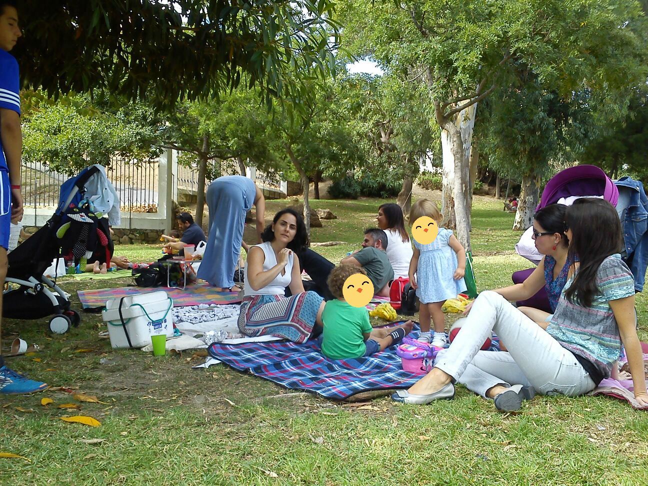 PICNIC4