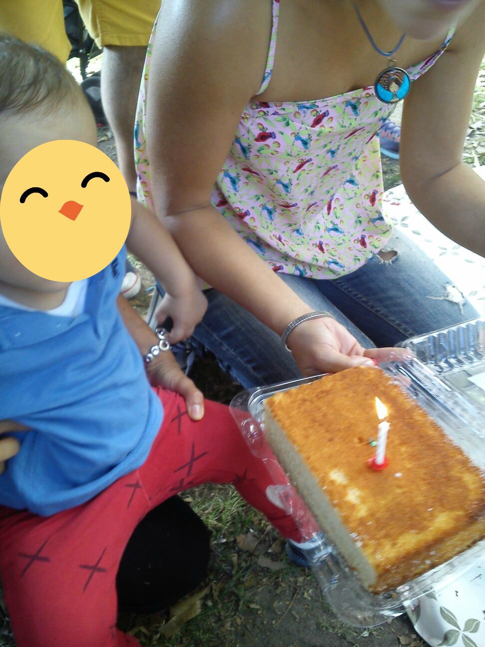 PICNIC5