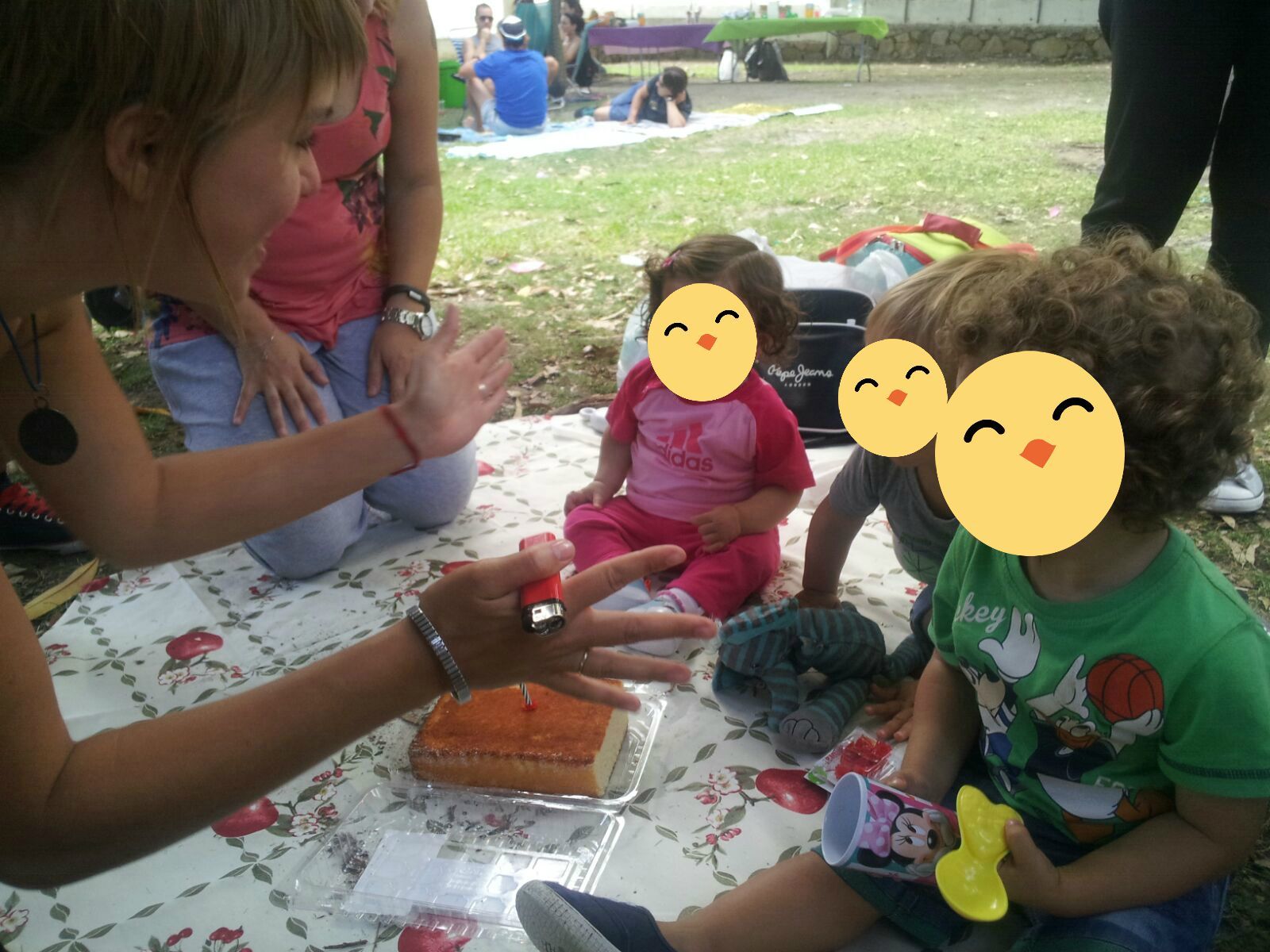PICNIC6