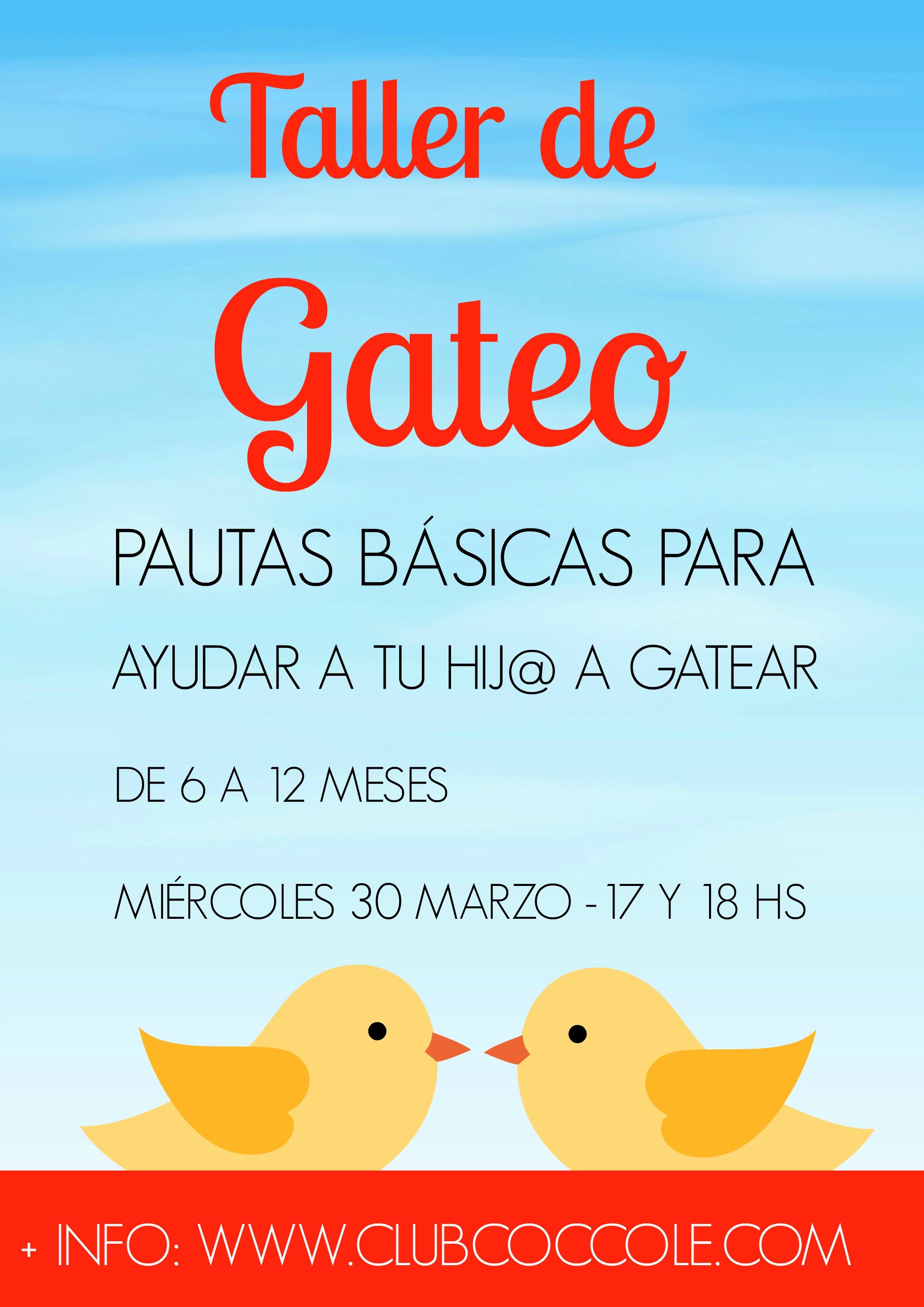 TALLER GATEO